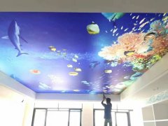 精印寫(xiě)真軟膜